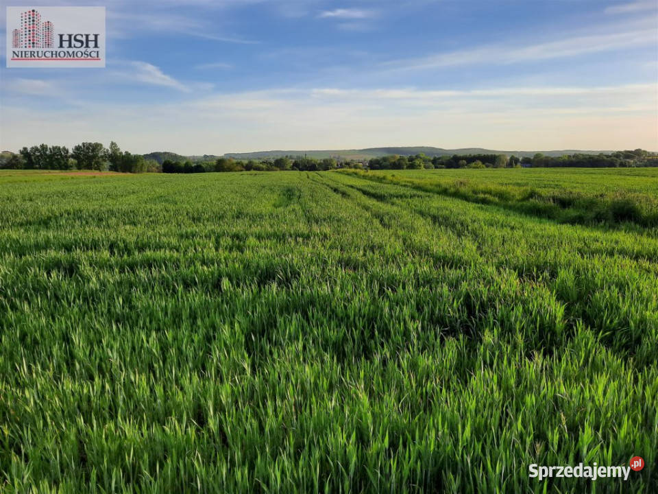 Sprzedam grunt 11200m2 Brończyce 311m