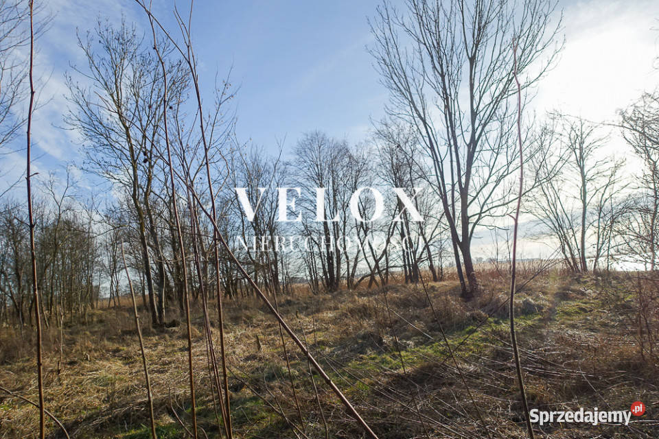 Hala 570 m2 działka 7129 m2 dostęp do wody Sprzedaż zachodniopomorskie Stepnica