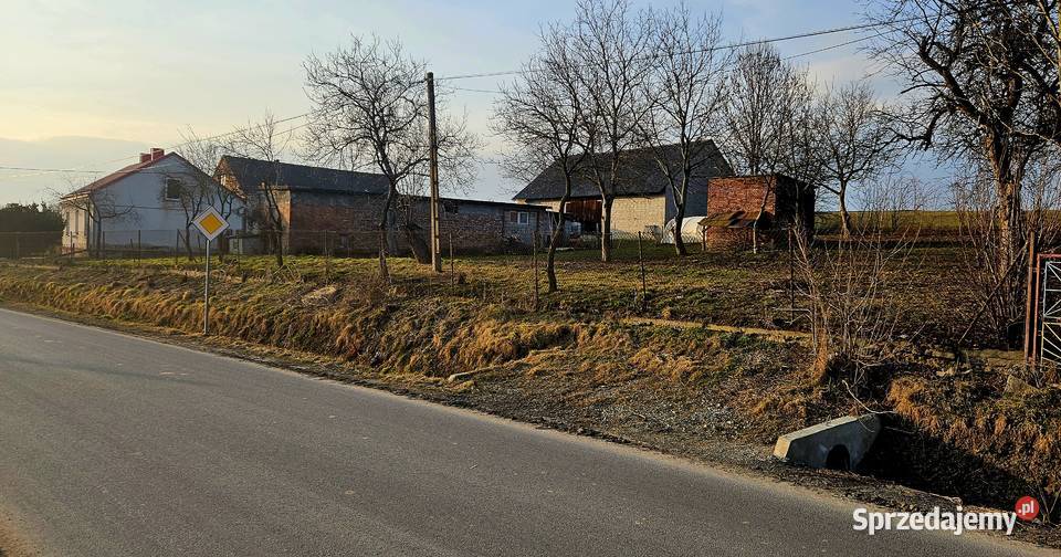 Gospodarstwo Rolne Zabudowania Dom Pole Działka Proszowice