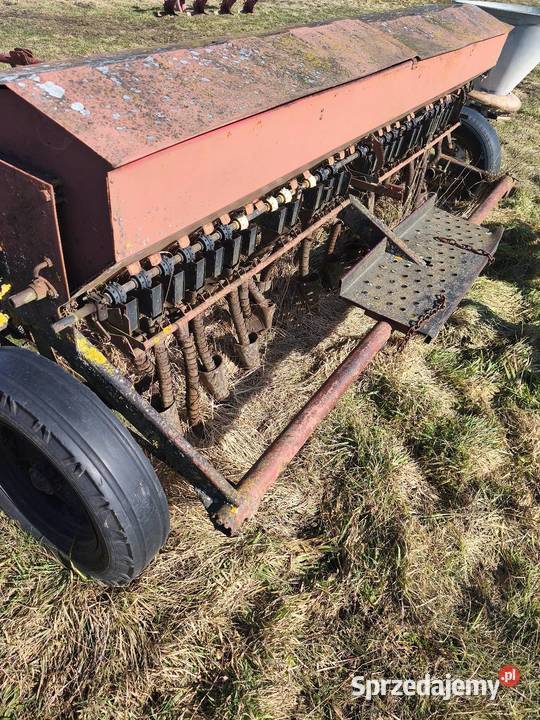 Siewnik zbożowy 3m Agco Siewniki i sadzarki podlaskie