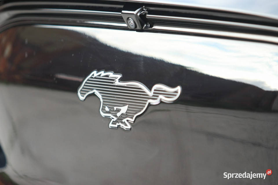 Ford Mustang MachE 2021 Elektryk 294 610 Zasięg immobilizer