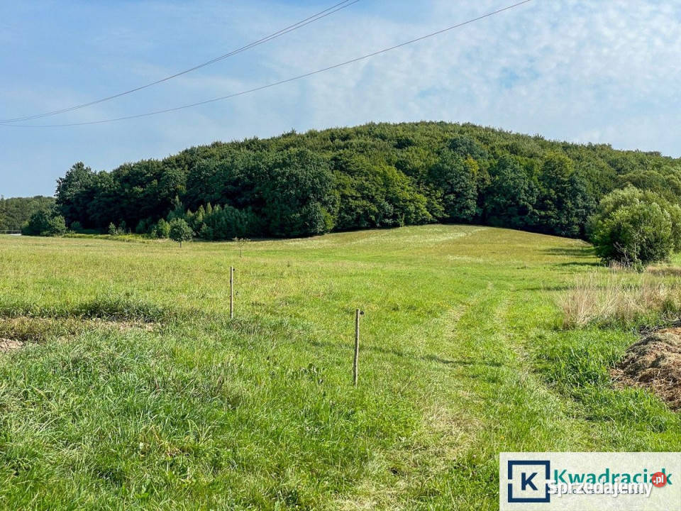 Dom wolnostojący Gorzyce 180m2 Domy