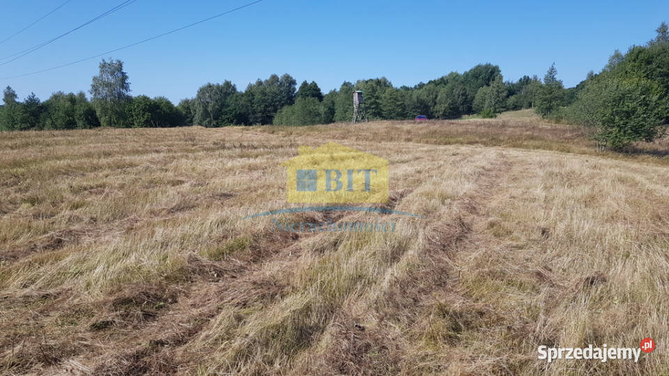 Działka 212 ha jeziorze Drawskim Sprzedaż Kluczewo