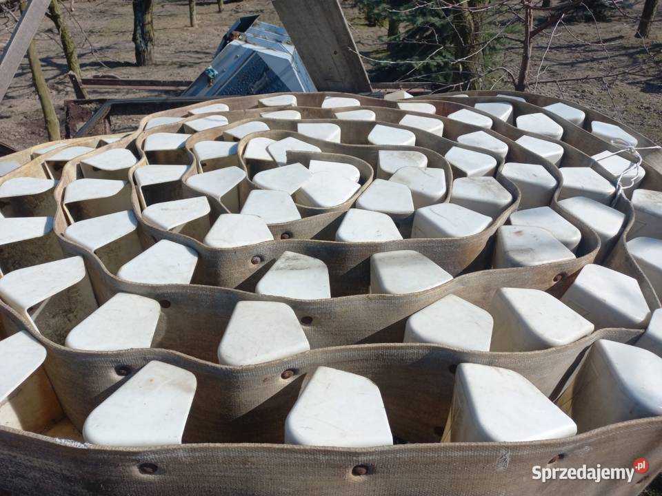 Taśma podajnik kubełkowy Izdebno-Kolonia