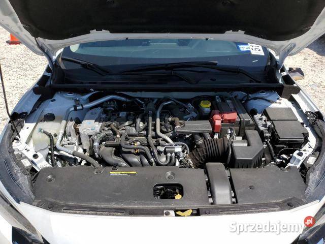 2024 NISSAN SENTRA SV automatyczna Bełchatów
