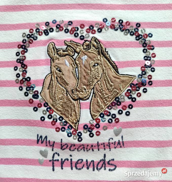 Komplet Konie Salt And Pepper 110116 4 lata+ Komplety i zestawy Katowice