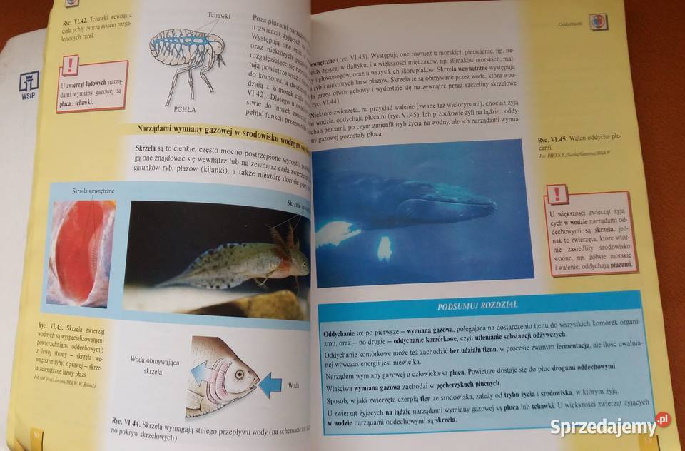 Biologia XXI wieku podręcznik część 2 Łódź sprzedam