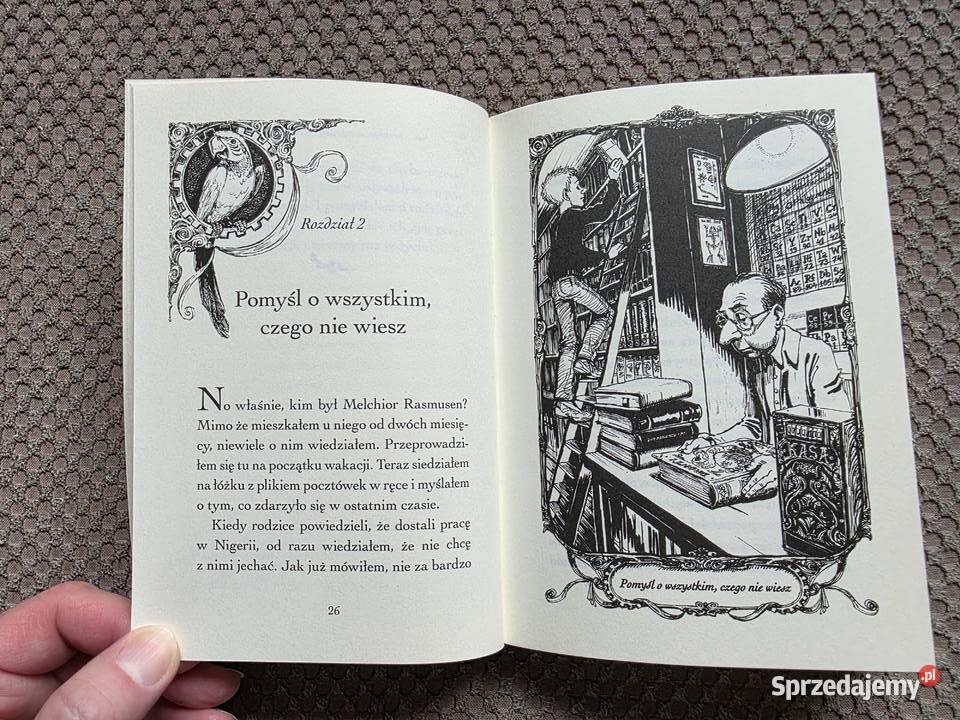 Martin Widmark seria DavidLarisa wiek 914 lat małopolskie Kraków