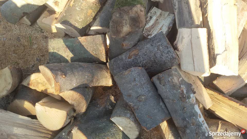 DREWNO TWARDE PROMOCJA