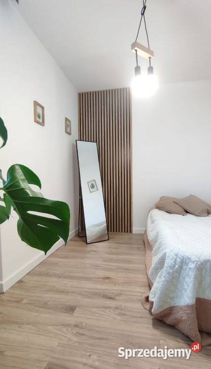 3pok 45met Zaporskiej ROZKŁADPIWNICA Wrocław sieć dolnośląskie