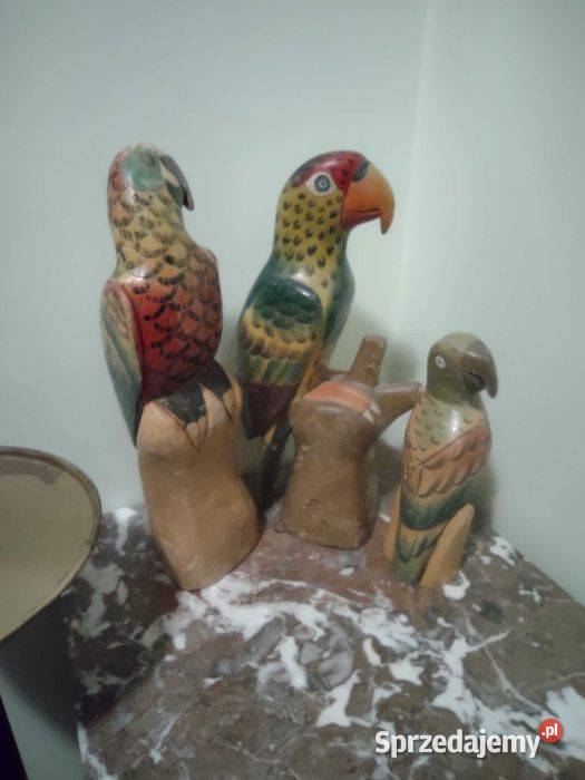 Kolorowe papugi balsa wielokolorowy Poznań