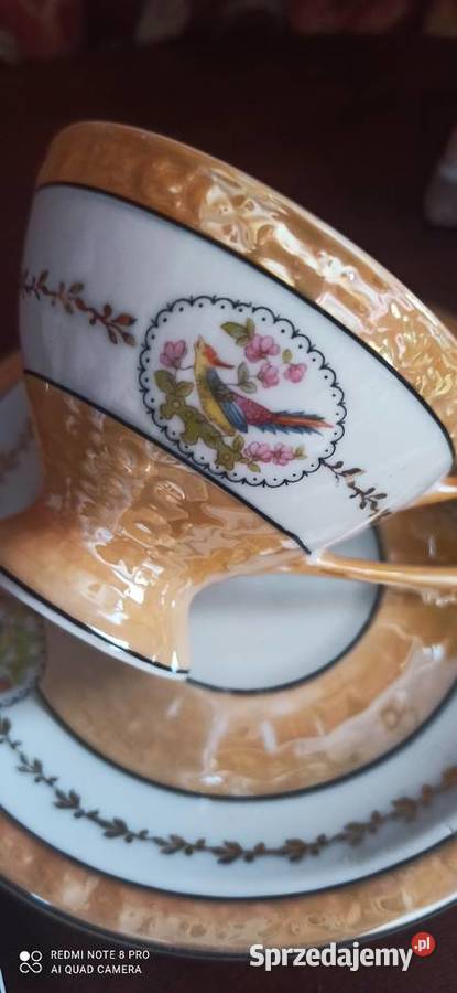 Filiżanka ptaszki Schwarzenhammer pomorskie Gdańsk sprzedam