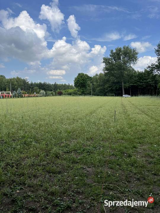 Działka 30 ar z Pozwoleniem na Budowę i Mediami łódzkie Dalików sprzedam