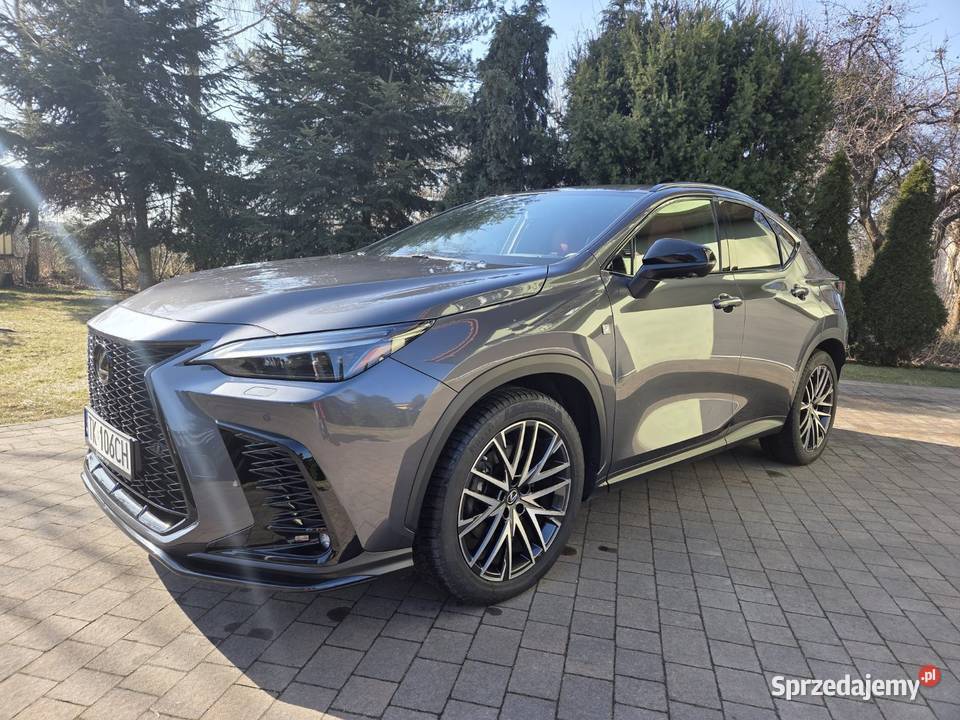 Lexus nx450h salon polska garażowany Chełmek