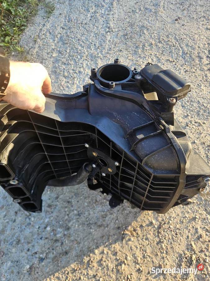 Kolektor n43 Kartuzy sprzedam