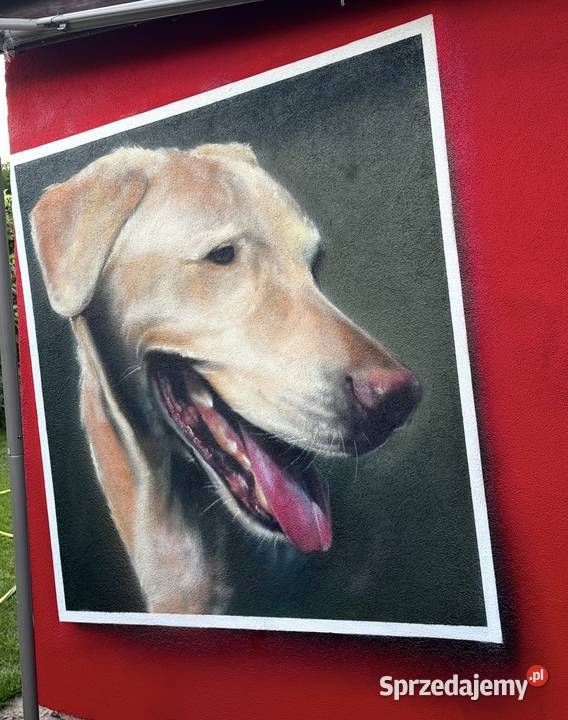 Artystyczne graffiti malowanie mural aerograf Poznań