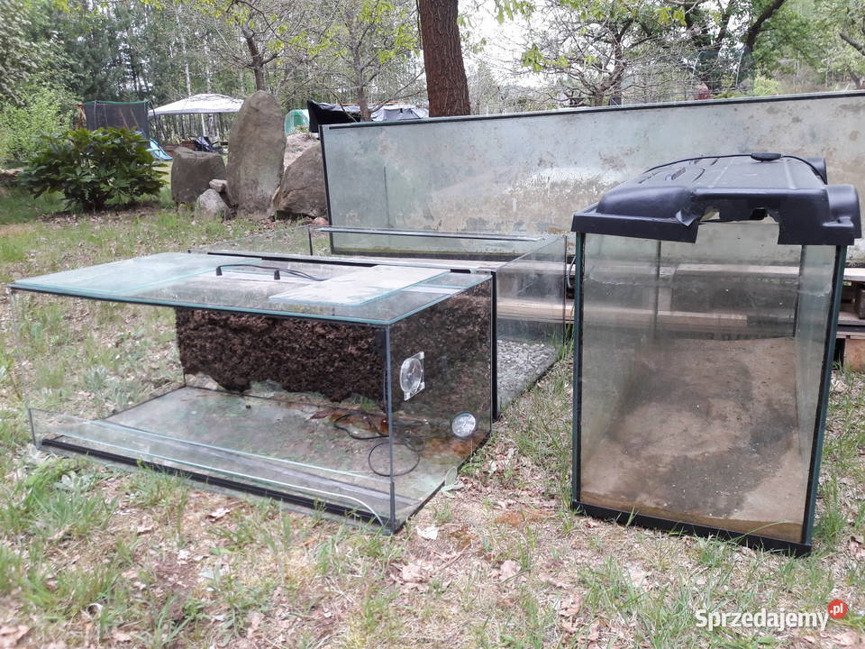 AKWARIUM 500 litrów i mniejsze terrarium podkarpackie Rzeszów sprzedam