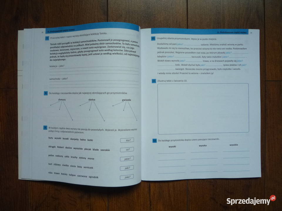 Ćwiczenia słownikowe ortograficzne i gramatyczne Szczecin