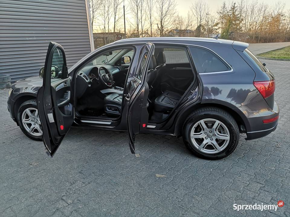 zadbany Ful Zamiana Poznań