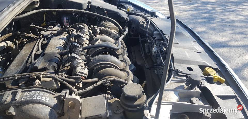 Ford Focus Mk III 16 LPG II właściciel Chełmiec