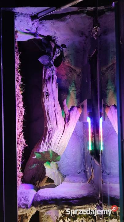 Duże wiszące terrarium Dąbrowa Górnicza