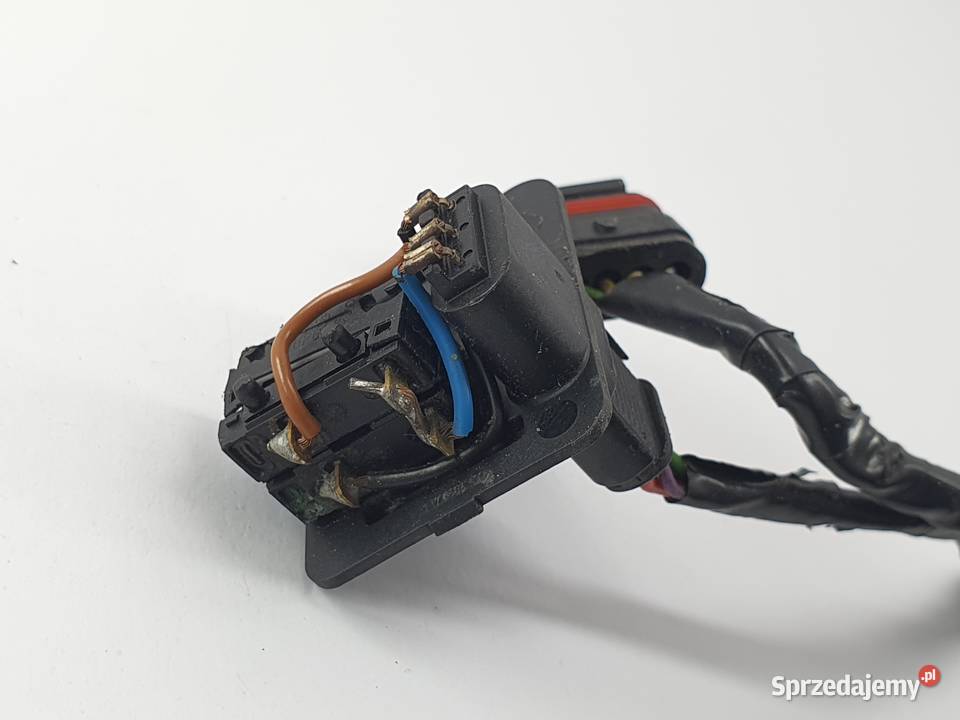Imobiliser Imo Wtyczka Kostka Bmw R 1200 RT Gs łódzkie
