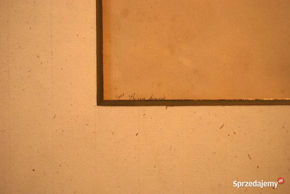 BESSA Pancrace akwatintowa duża rycina z owocami Poznań