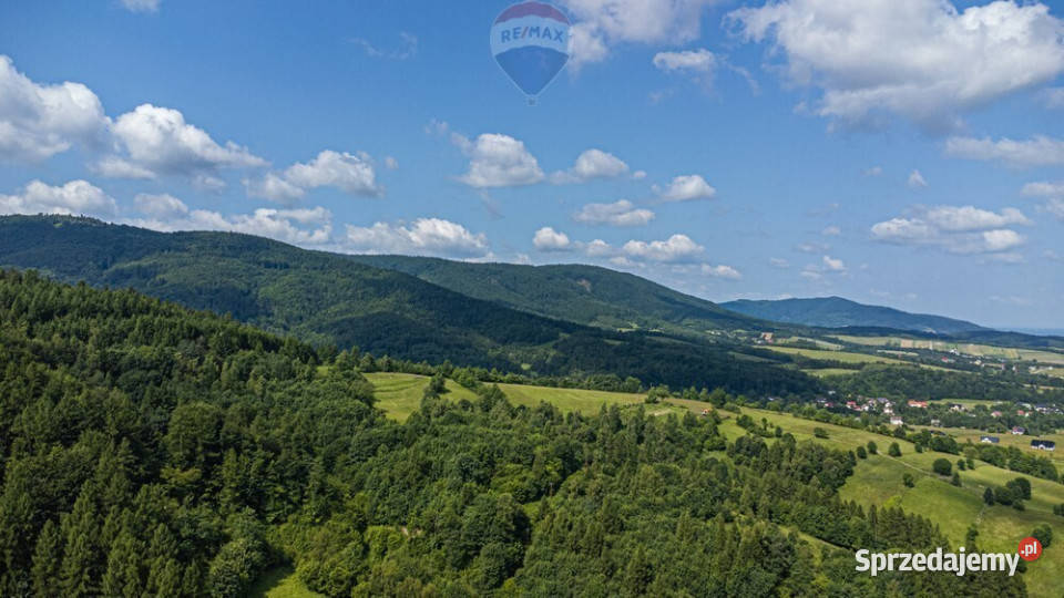 Działka leśna Rzyki