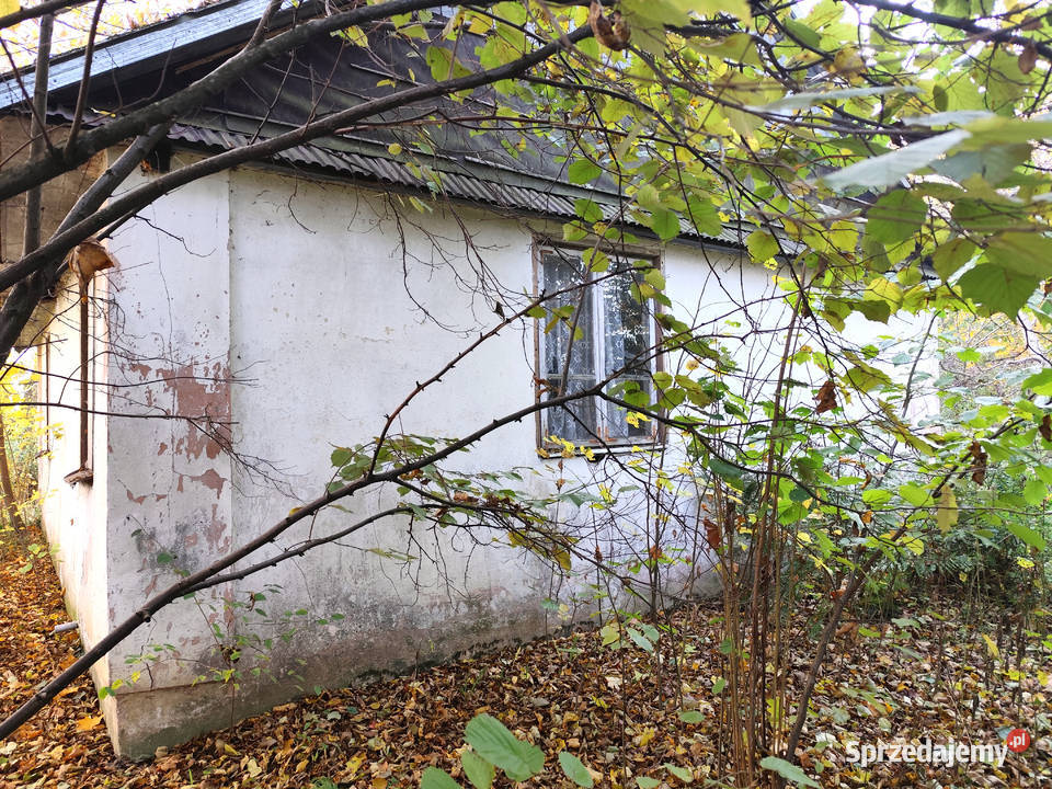 Sprzedam siedlisko w gminie Garbów