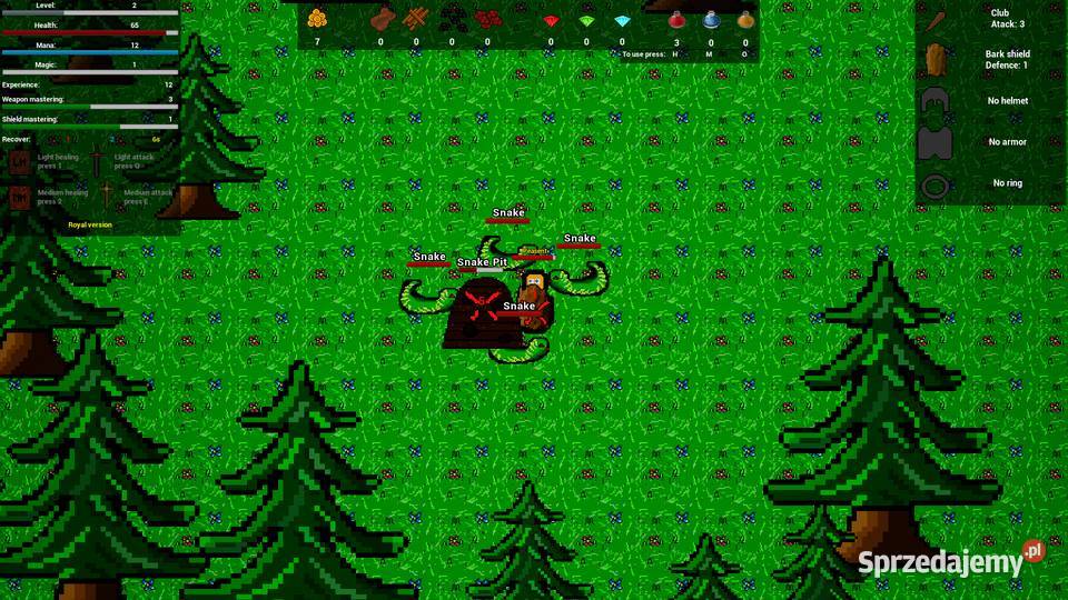 Medieval gate 2D RPG Grudziądz sprzedam