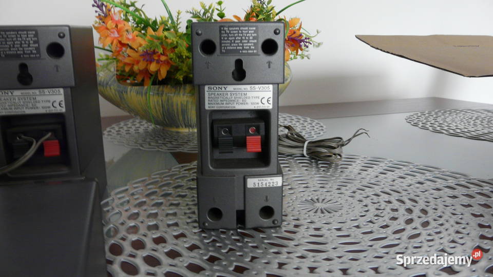 ZESTAW GŁOŚNIKÓW SONY 51 Głośnik SSCN30 4 Wolsztyn