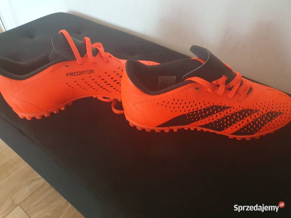 Sprzedam turfy turfy lubuskie Gorzów Wielkopolski