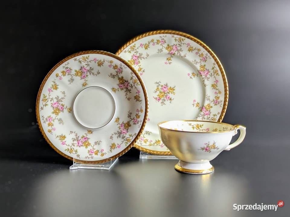 Zjawiskowe Trio Johann Haviland Bavaria Legnica