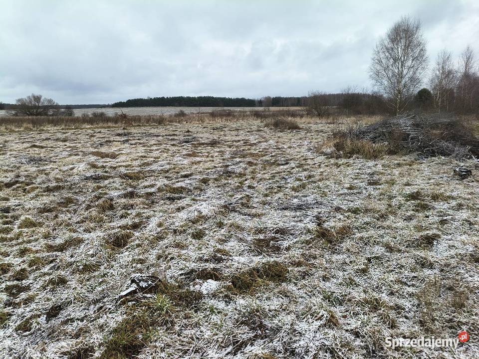Działka budowlana lubuskie Marcinowice sprzedam