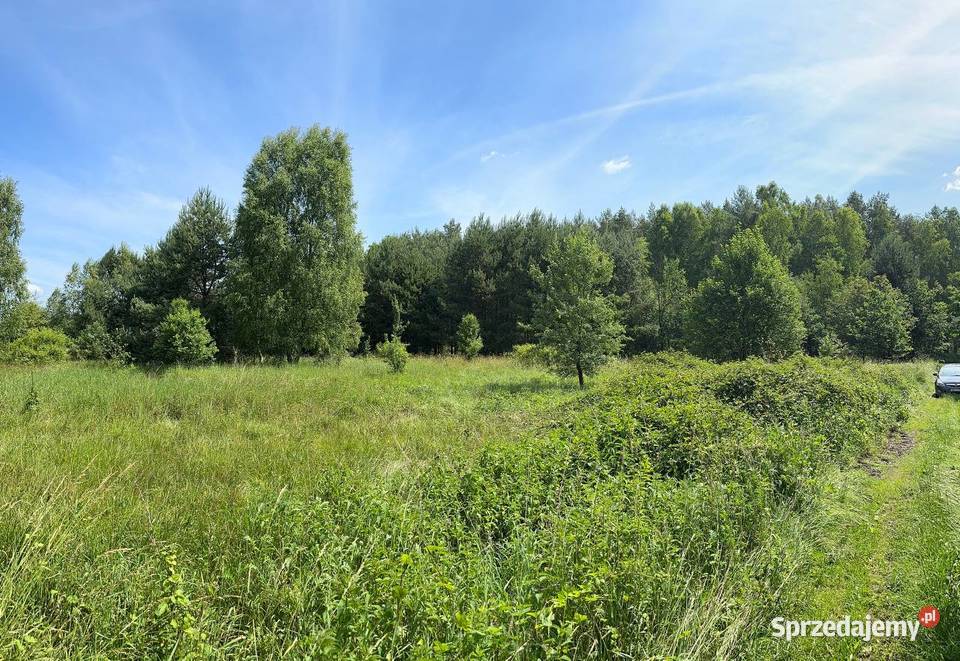 działka w otulinie lasu 13000m2 Trzebule