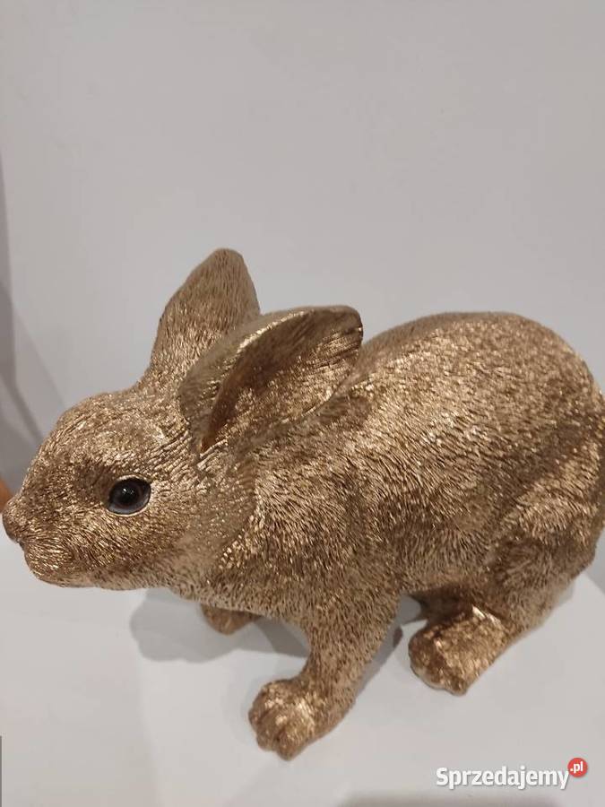 KRÓLIK ZŁOTY podkarpackie Straszęcin