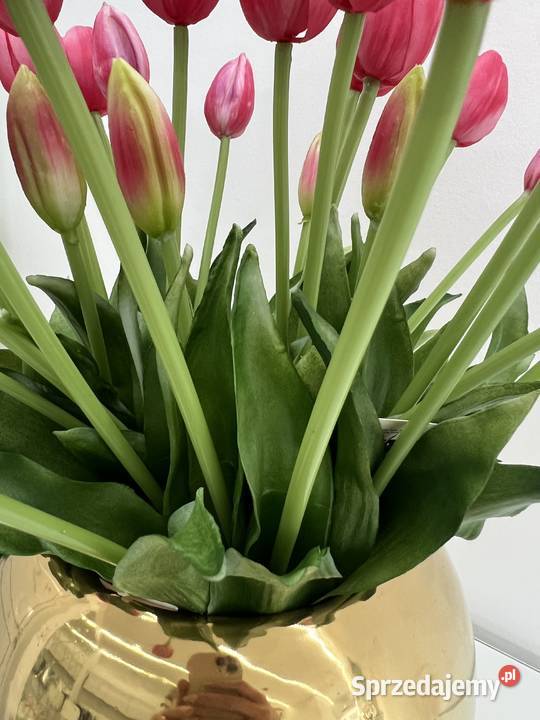 Bukiet tulipanów gumowych 7 sztuk Premium kolor Golkowice