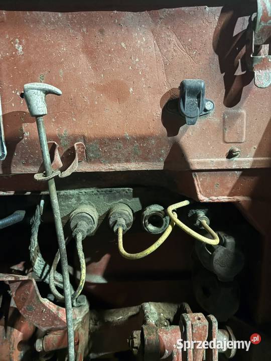 MTZ 82 z turem wielkopolskie Robaczyn