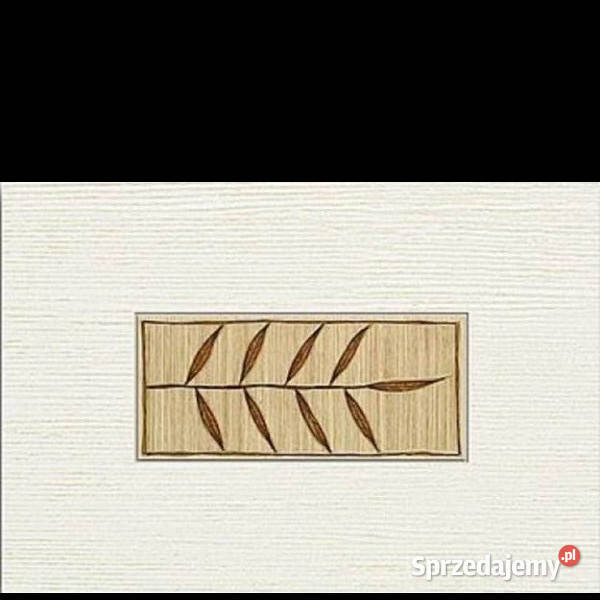 Tubądzin Castanio 1 wymiar 25 x 36 dekor płytki Białogard