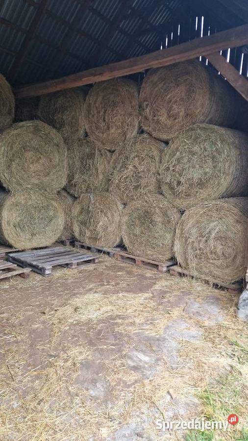Siano pogodne z sianych łąk Bele 120na135 Pozostałe Ogrodniki