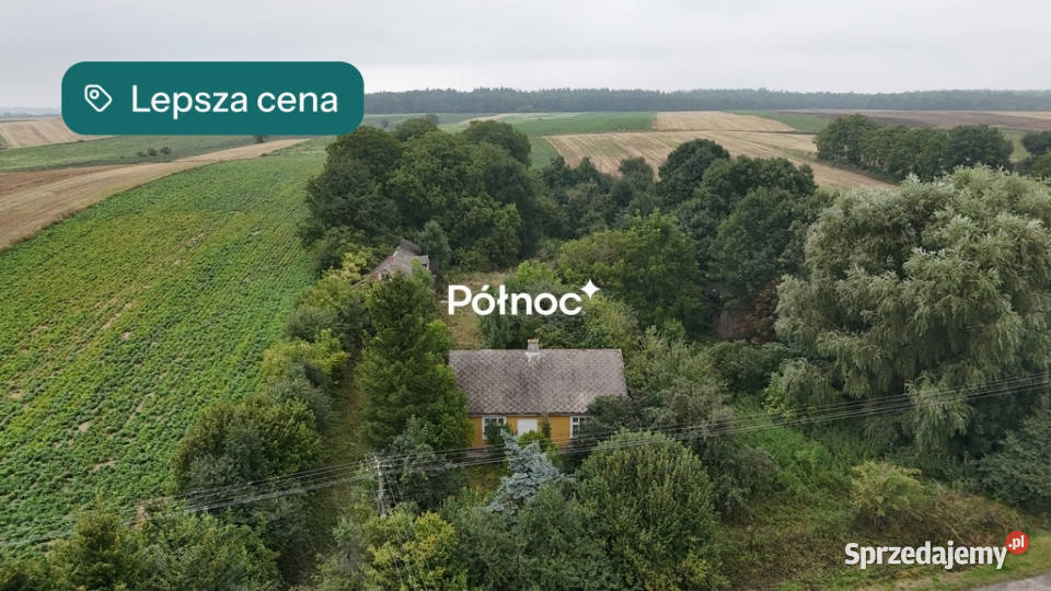 Drewniany dom z dużą działką i sademTelatyn Telatyn