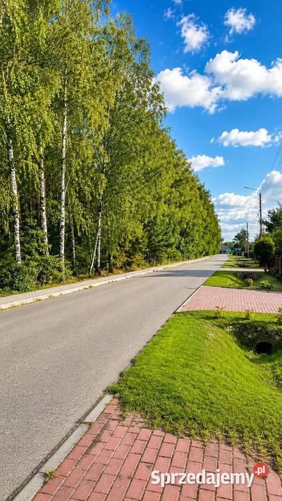 Działka budowlana 1233 m 10 min Sokołowa 95 000 Hołowienki