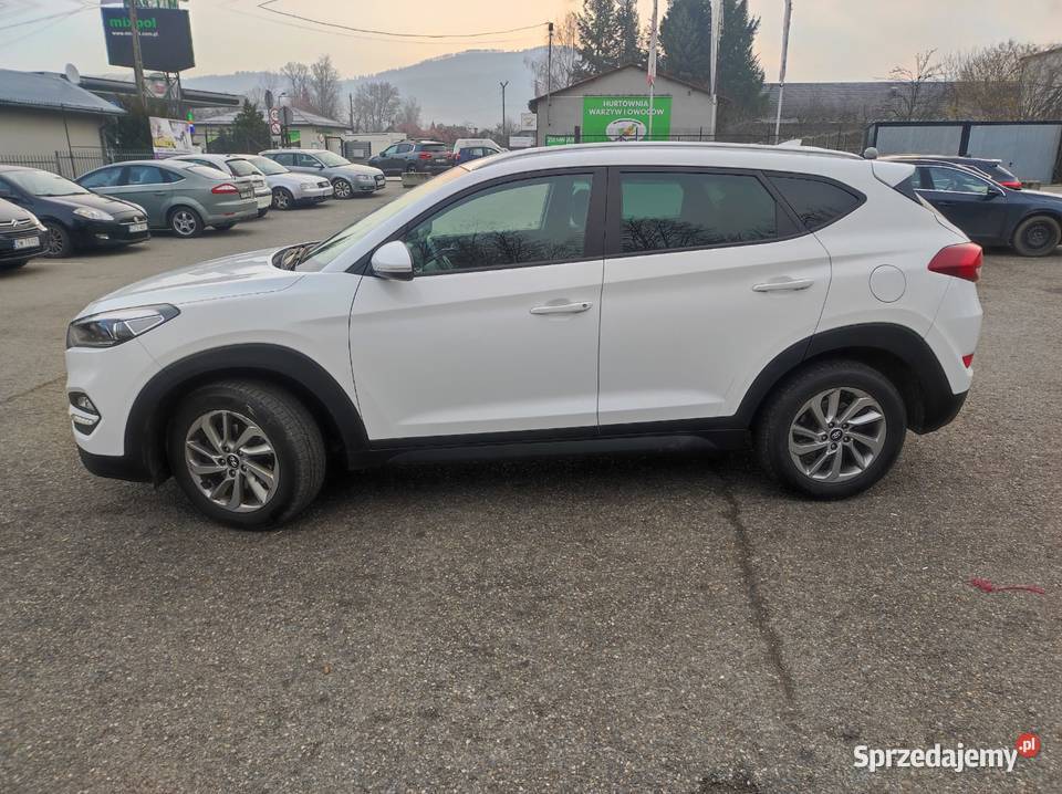 Hyundai Tucson 17 CRDi 115 2016 210 Biały Kamesznica