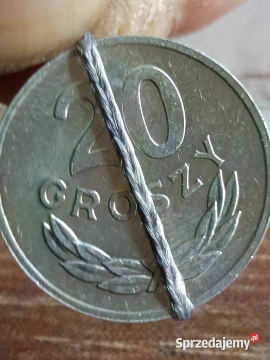 Sprzedam 20 gr 1981 r Chełm