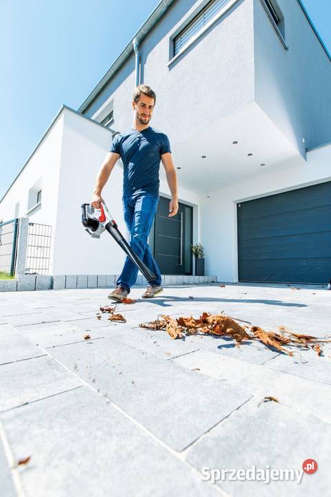 Dmuchawa do liści ALKO LB 4060 Li Energy Flex podkarpackie Tajęcina