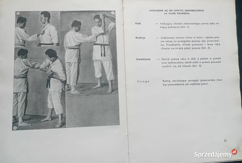 Fr van Haesendonck JuJitsu Pas Biały Sport i Koźminek