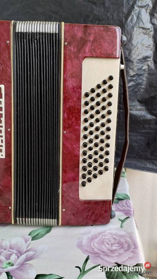Akordeon 60 basów Instrumenty klawiszowe i MIDI Nidzica