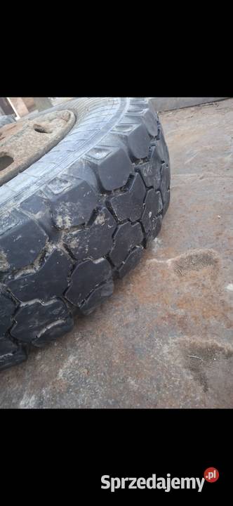 komplet kół do przyczepy autosanpom Śrem i inne Kulik-Kolonia