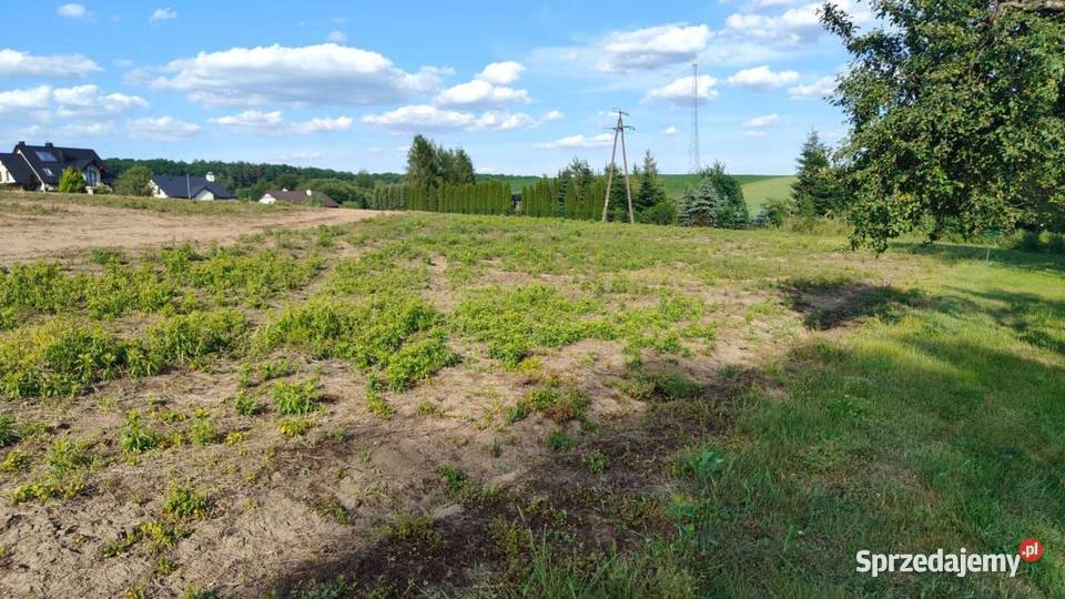 Działka budowlana 13 ar w Roźwienicy wszystkie