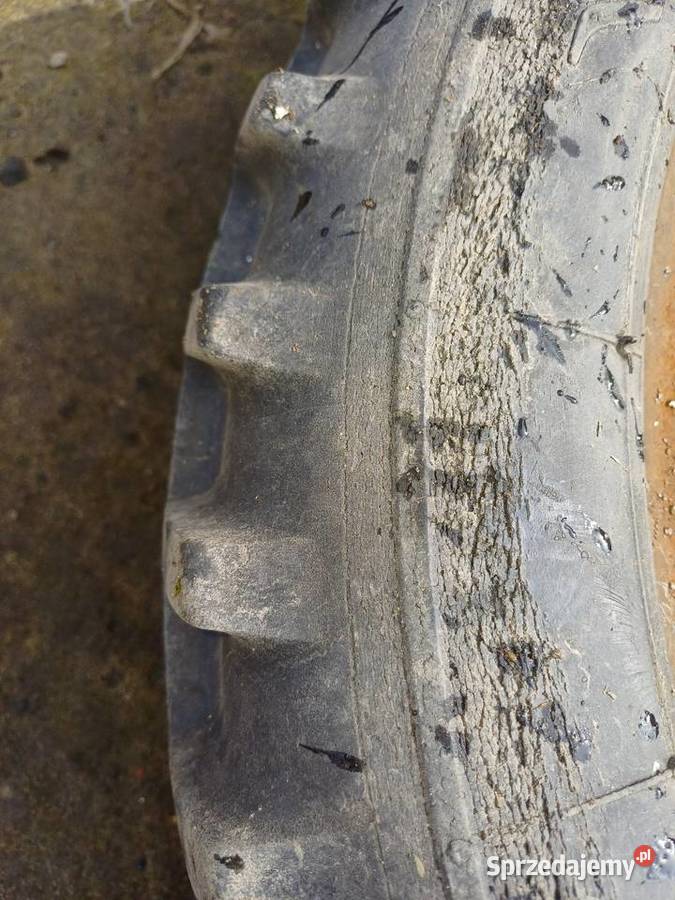 Opony do siewnika poznaniak łódzkie Wejsce sprzedam